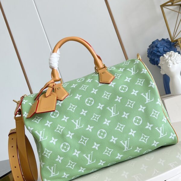 LV Master level Bag