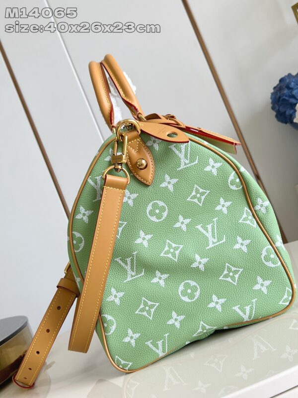 LV Master level Bag