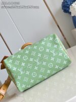 LV Master level Bag