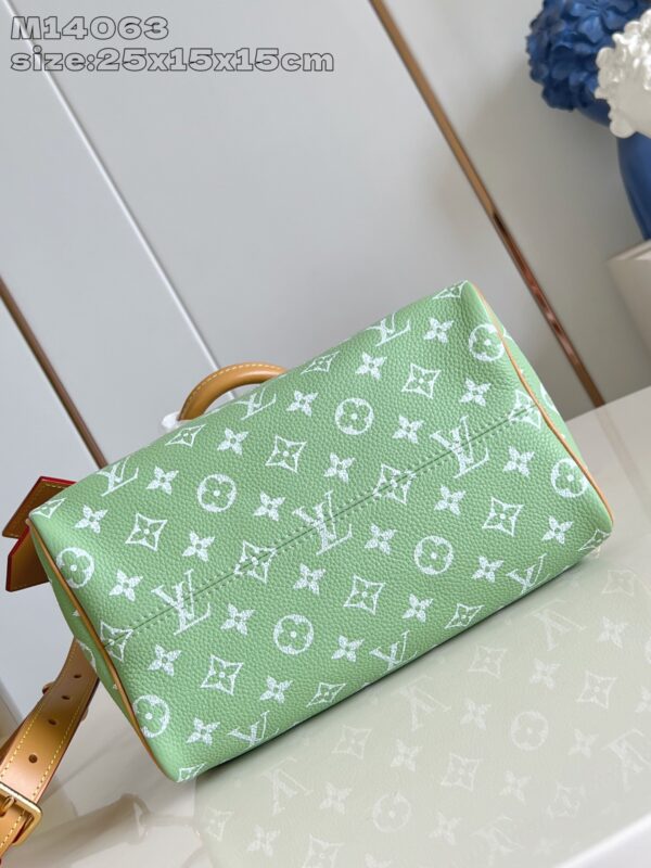 LV Master level Bag