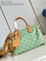 LV Master level Bag