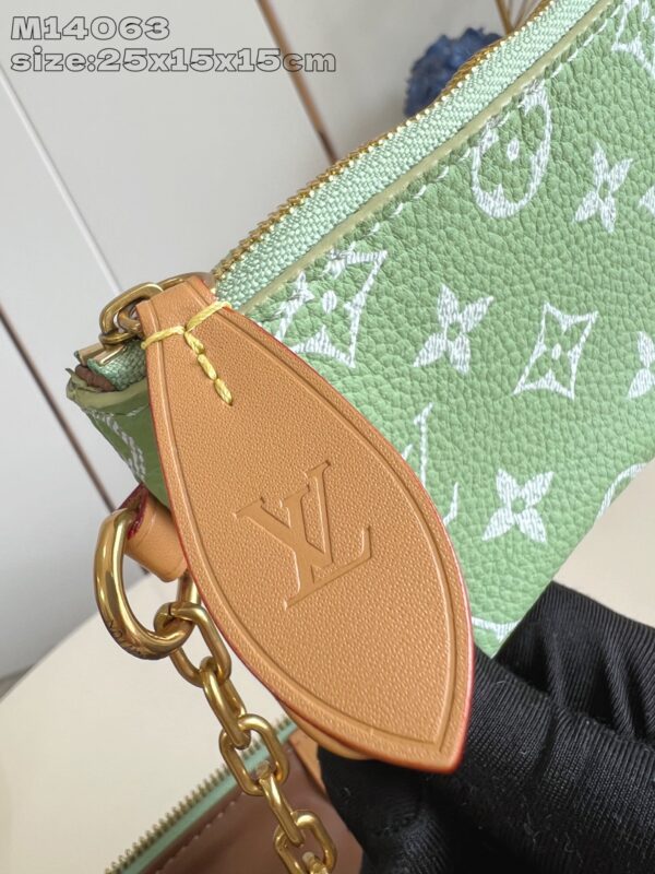 LV Master level Bag