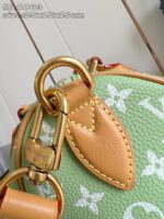 LV Master level Bag