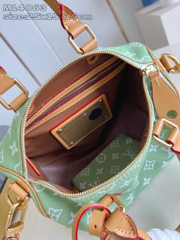 LV Master level Bag