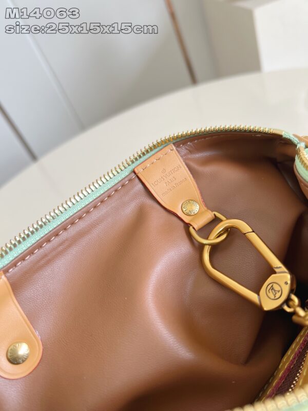 LV Master level Bag