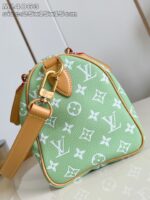 LV Master level Bag
