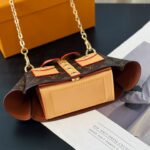 LV Mini Bag