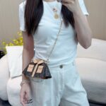 LV Mini Bag