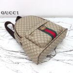 Gucci bag 2025