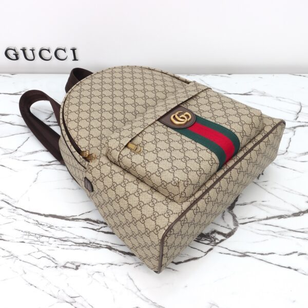 Gucci bag 2025