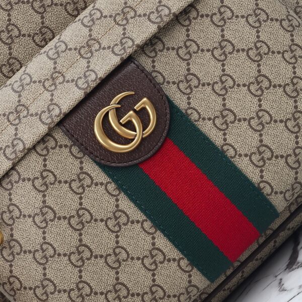 Gucci bag 2025