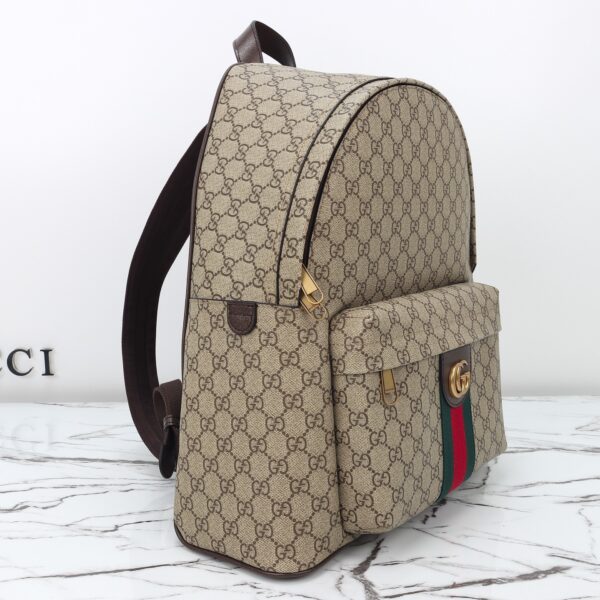 Gucci bag 2025