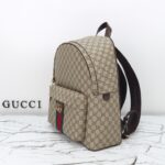 Gucci bag 2025