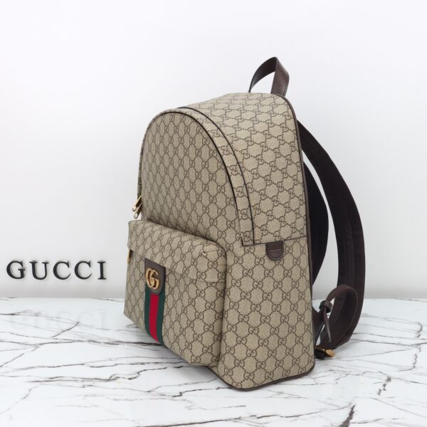 Gucci bag 2025