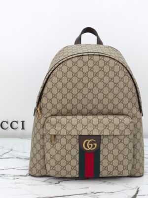 Gucci bag 2025