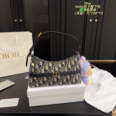 Dior Bag 2025
