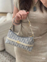 Dior Bag 2025