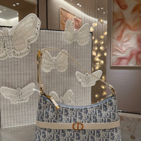 Dior Bag 2025