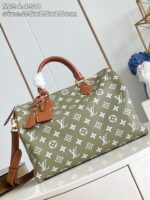 LV Master level Bag