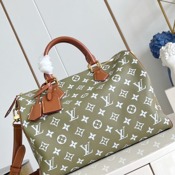 LV Master level Bag