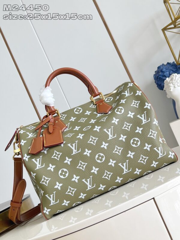 LV Master level Bag