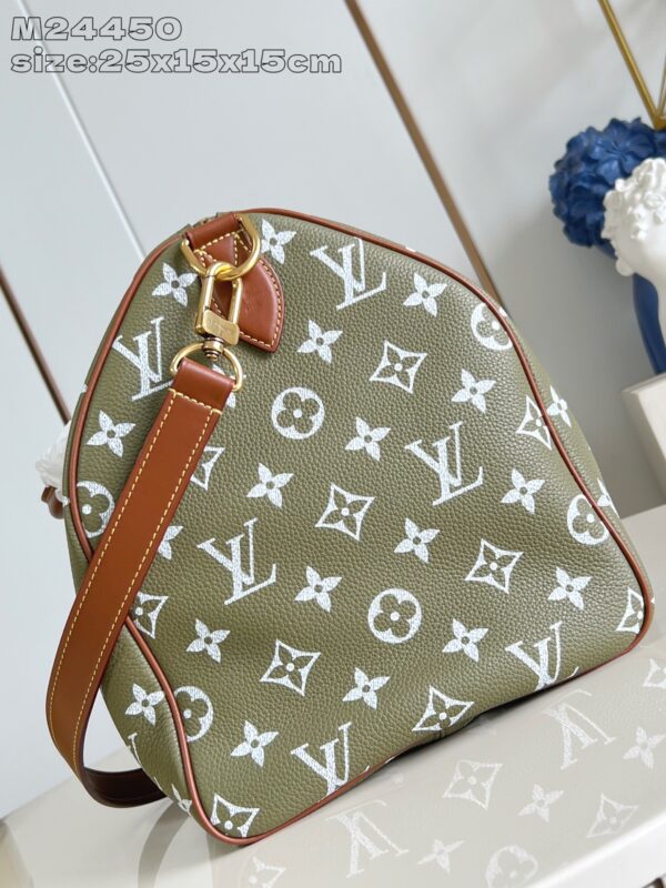 LV Master level Bag
