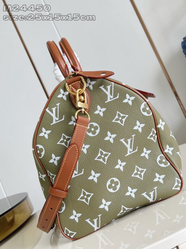 LV Master level Bag