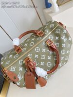 LV Master level Bag