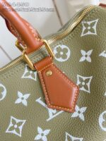 LV Master level Bag