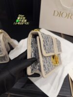 Dior Bag 2025