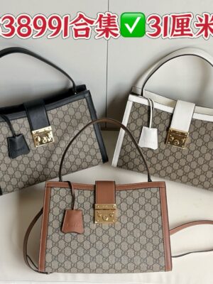 Gucci bag 2025