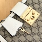 Gucci bag 2025