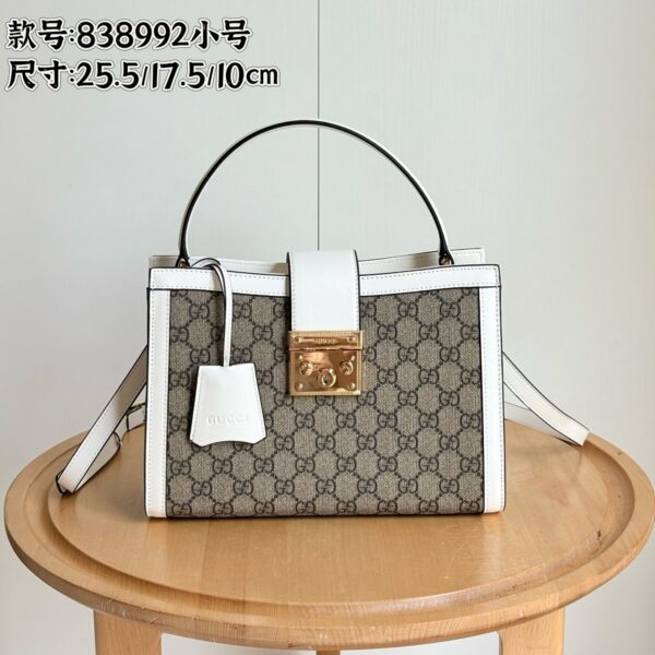 Gucci bag 2025