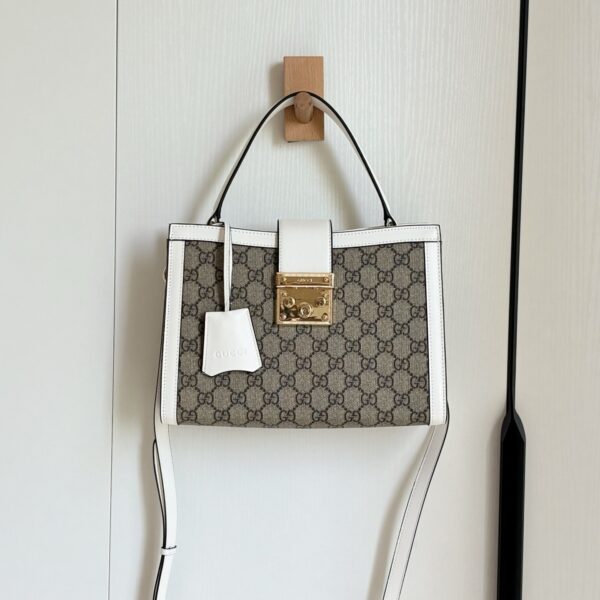 Gucci bag 2025