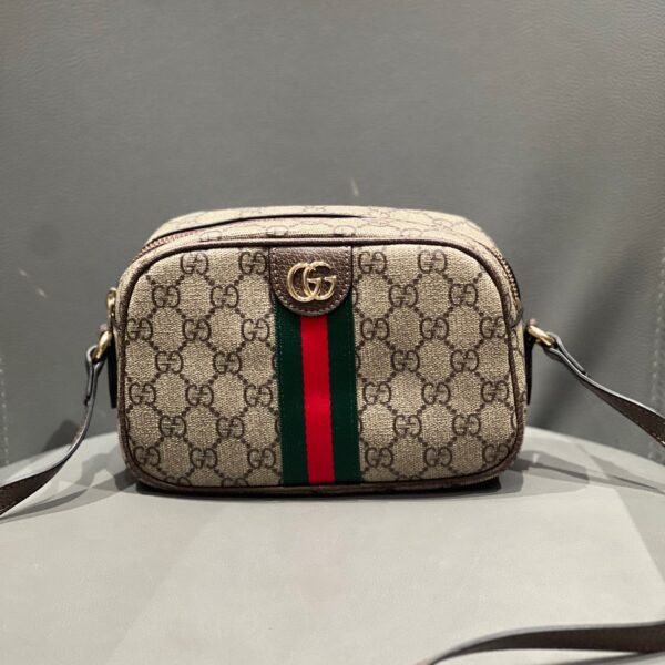 Gucci bag 2025