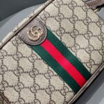 Gucci bag 2025