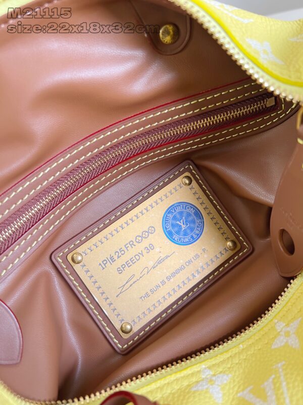 LV Master level Bag