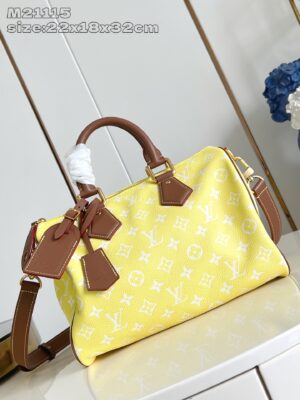 LV Master level Bag