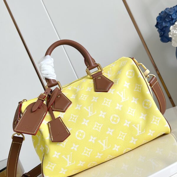 LV Master level Bag
