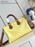 LV Master level Bag