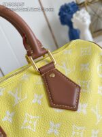 LV Master level Bag