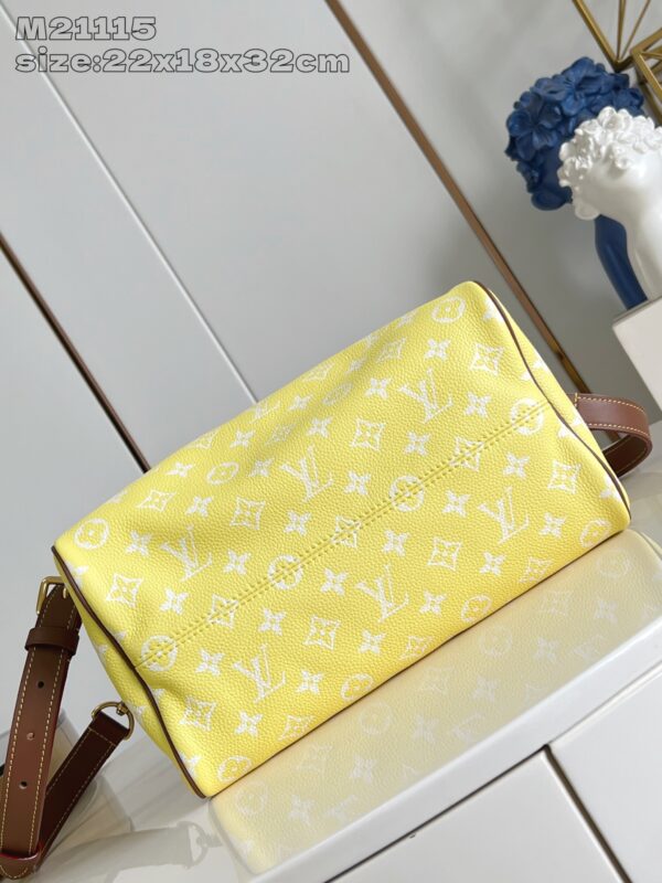 LV Master level Bag