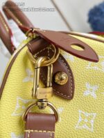 LV Master level Bag