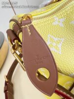 LV Master level Bag