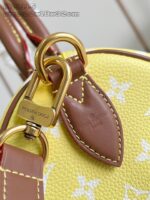 LV Master level Bag