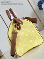 LV Master level Bag