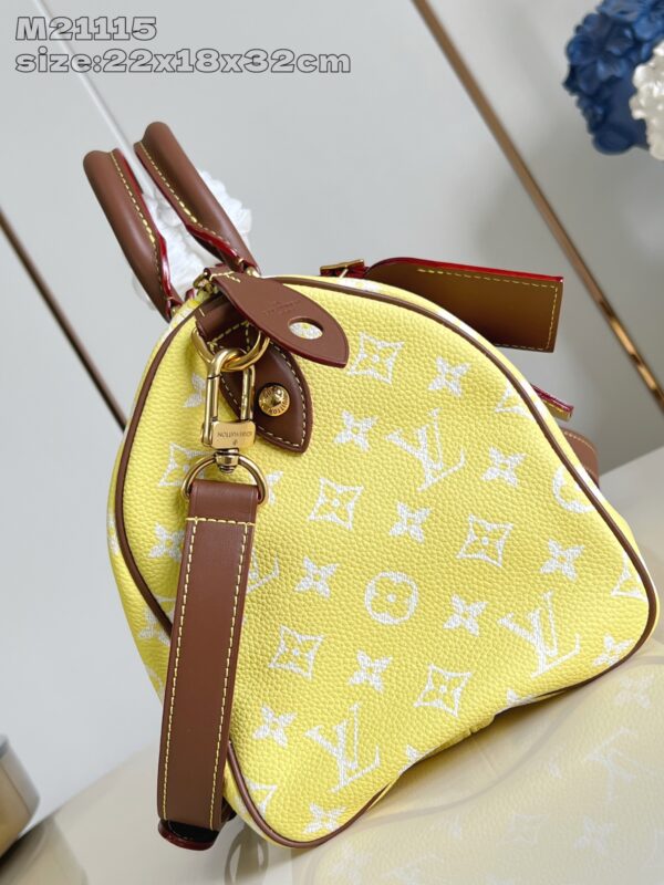 LV Master level Bag