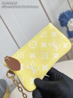LV Master level Bag