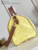 LV Master level Bag