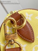 LV Master level Bag